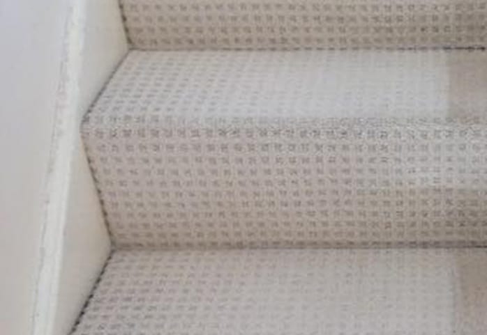 After Cleaning Carpet Stairs — Professional Carpet Cleaners in Gold Coast, QLD
