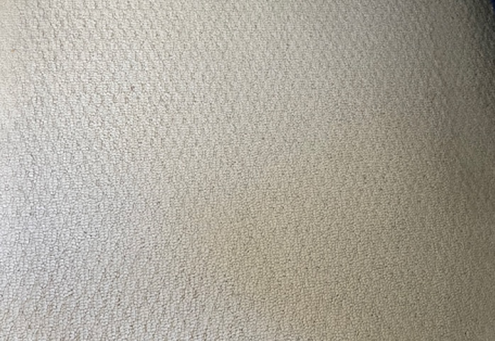 After Closeup Carpet Cleaning — Professional Carpet Cleaners in Gold Coast, QLD