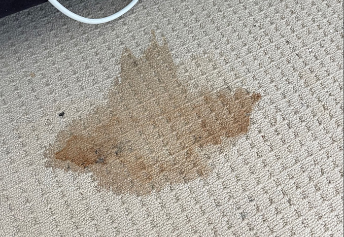 Before Removing Spots On Carpet — Professional Carpet Cleaners in Gold Coast, QLD