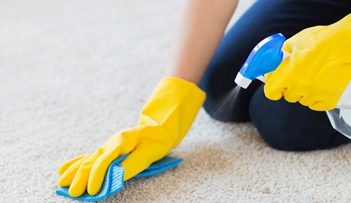Spraying Carpet — Professional Carpet Cleaners in Gold Coast, QLD