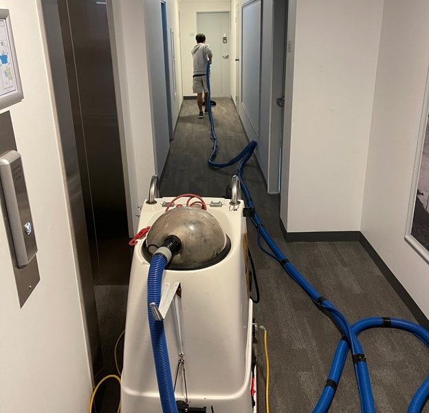 Man Vacuuming Hallway — Professional Carpet Cleaners in Gold Coast, QLD