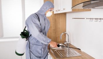 Man Using Spray For Pests — Professional Carpet Cleaners in Gold Coast, QLD