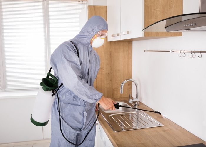 Man Using Spray For Pests — Professional Carpet Cleaners in Gold Coast, QLD