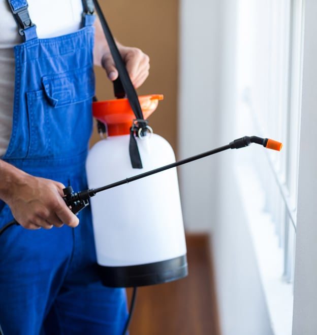 Pest Control Worker Using Sprayer — Professional Carpet Cleaners in Gold Coast, QLD