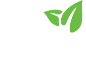 Eco Carpet Cleaning Gold Coast—Professional House Cleaners